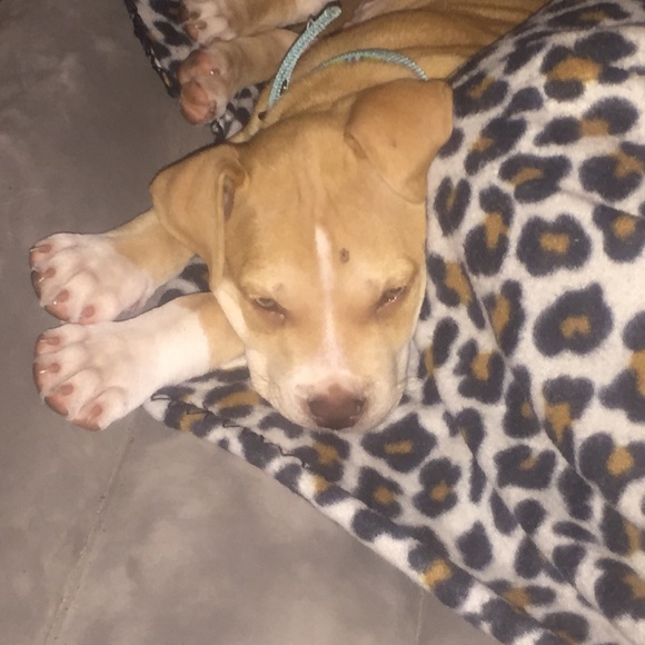 Meet your Posher, Sharon n - Picture 1 of 1